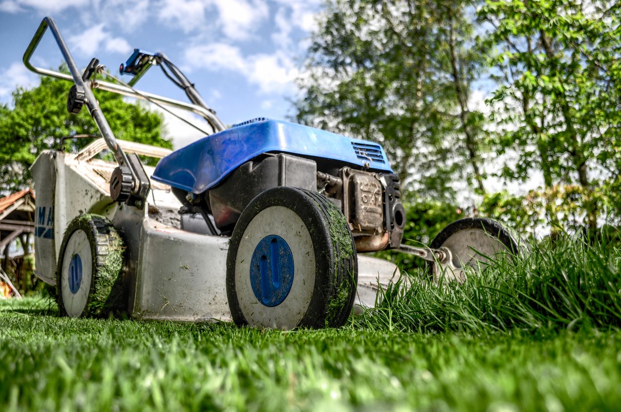 The Art of Drawing Readers In: Your attractive post title goes here Close-up view of a lawn mower cutting grass in a garden on a sunny day.