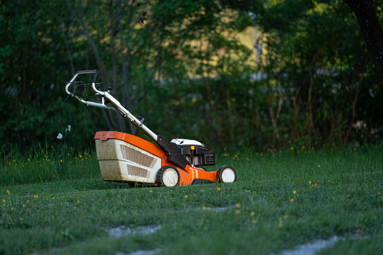 team-02 A lawn mower sits on a green lawn in a backyard, ready for yard work.