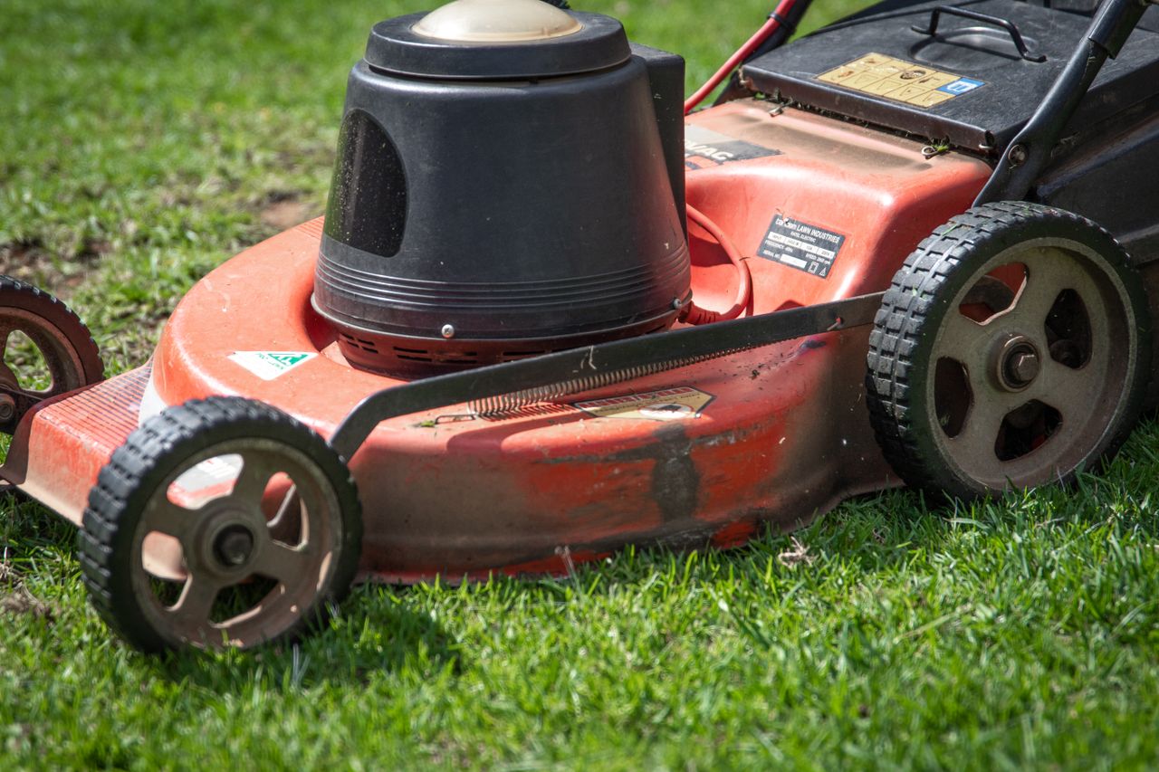 team-01 A close-up view of a red lawn mower on a green lawn, showcasing its details.