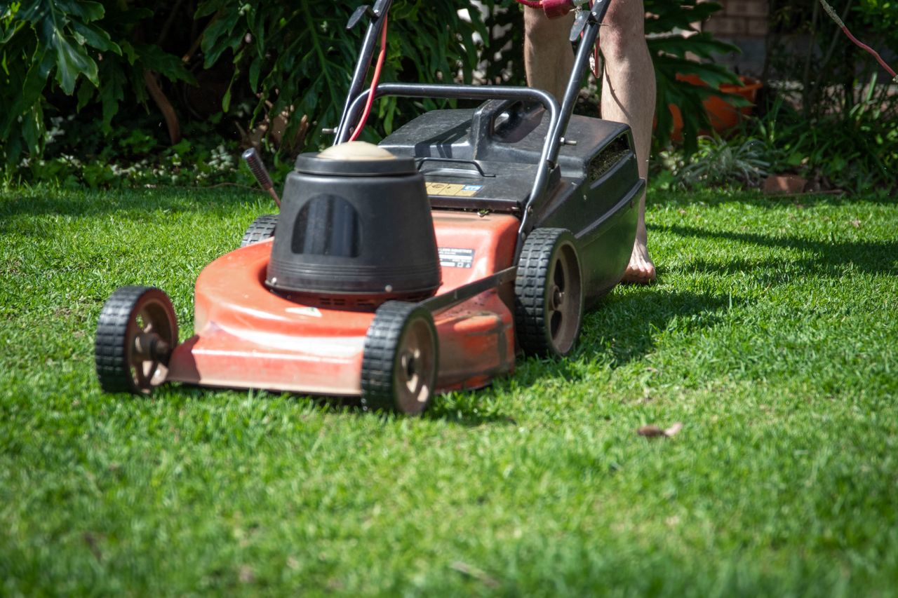services-01 A person operating a lawn mower on green grass, featuring gardening tools and lush foliage.
