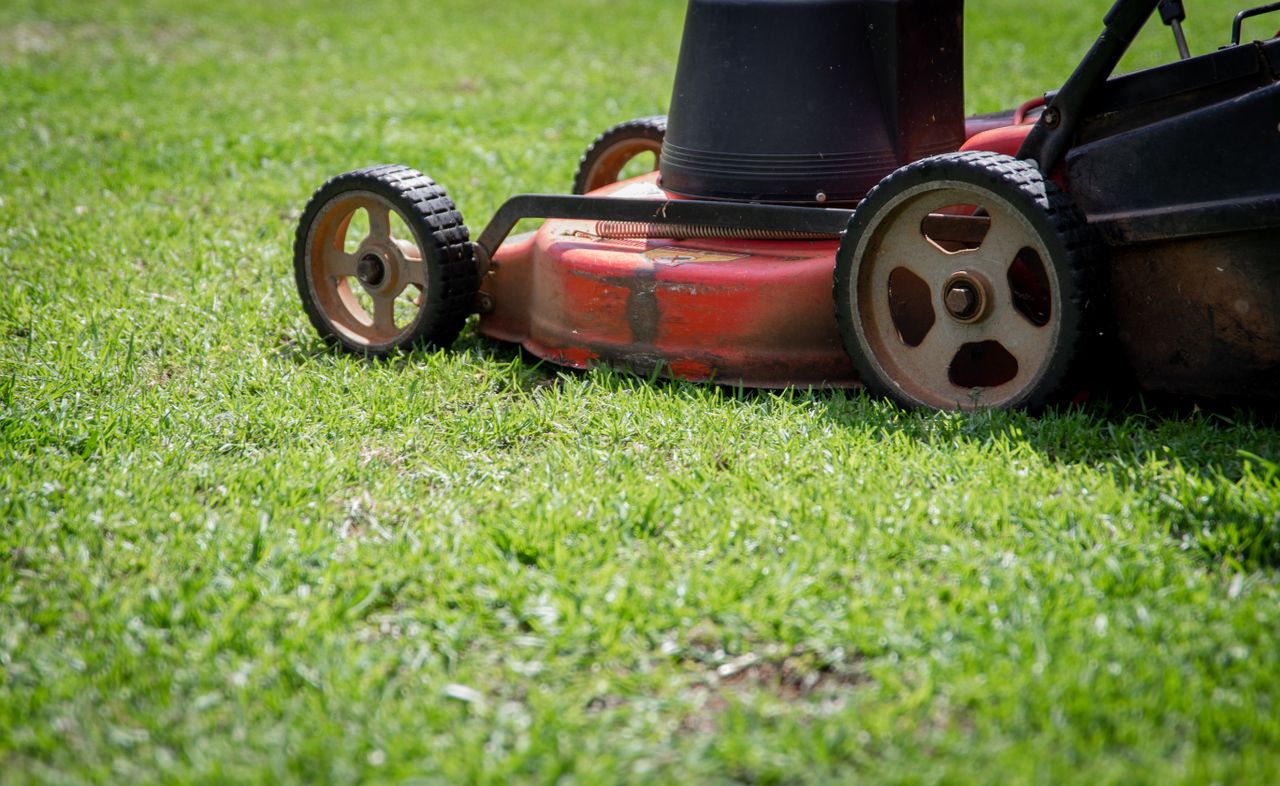 Crafting Captivating Headlines: Your awesome post title goes here Photo showing a close-up of a lawn mower cutting fresh green grass on a sunny day.